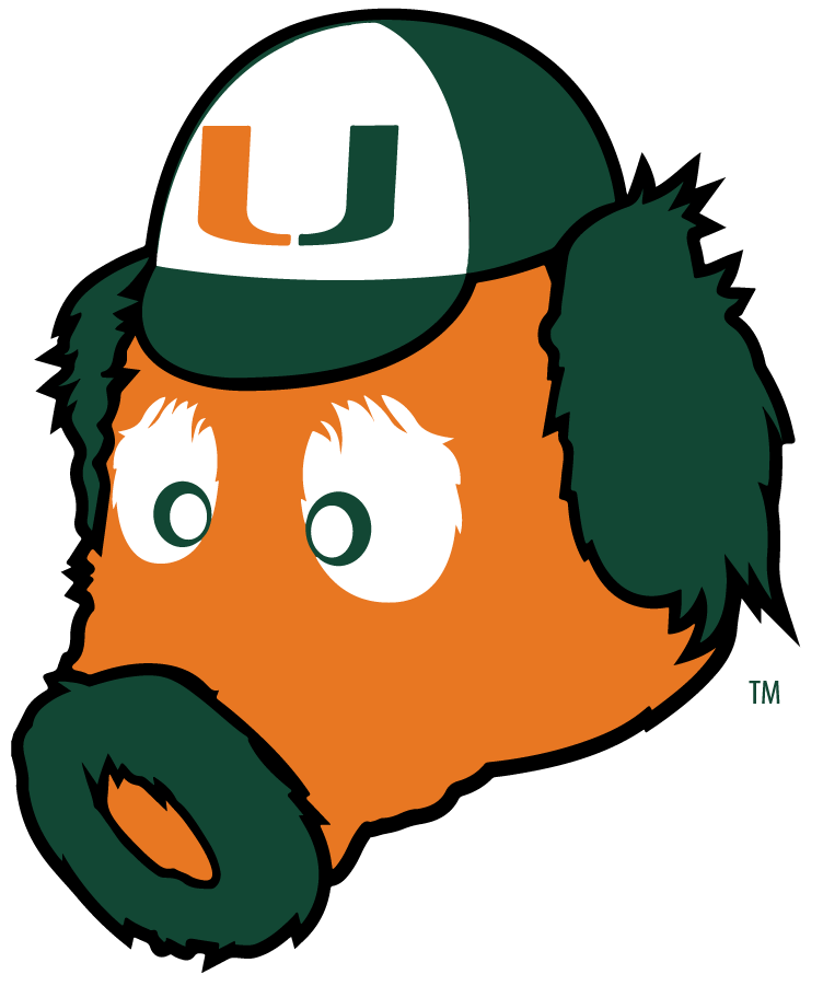 Miami Hurricanes 2024-Pres Mascot Logo diy iron on heat transfer
